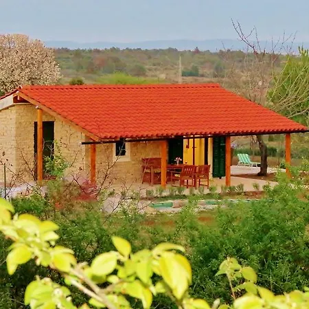 Romantic Cherry * 자다르