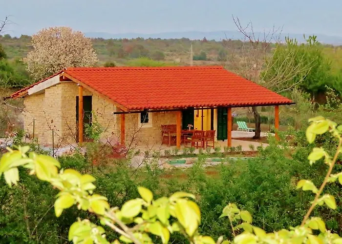 Romantic Cherry * 扎达尔